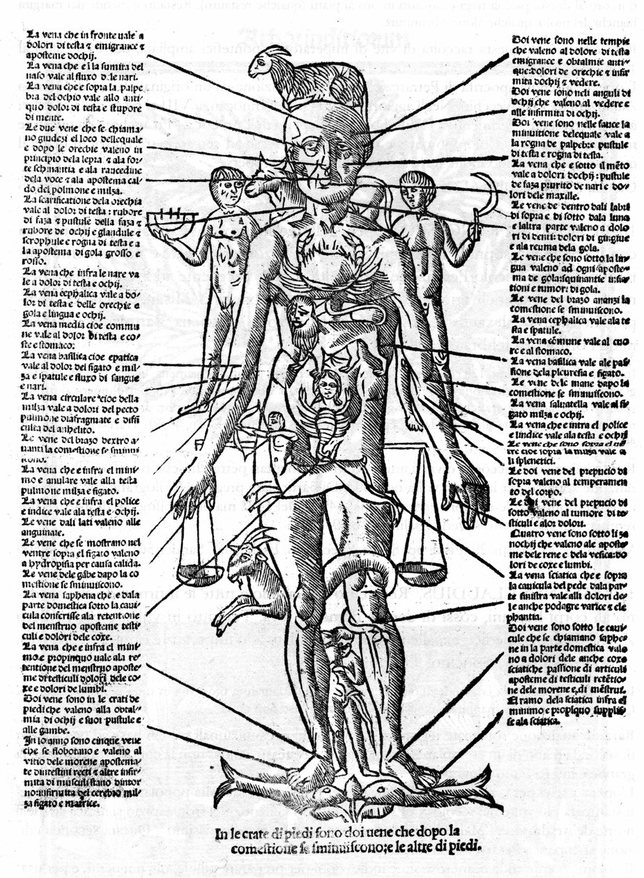 Plade, der repræsenterer en menneskelig krop med placeringen af alle organer og stjernetegnene, der svarer til dem ved deres astrologiske påvirkninger. Plage trukket fra "" Recetoro di Galeno optio e probato a tutte le infirmita che accadeno a huomini e a  af Italian School