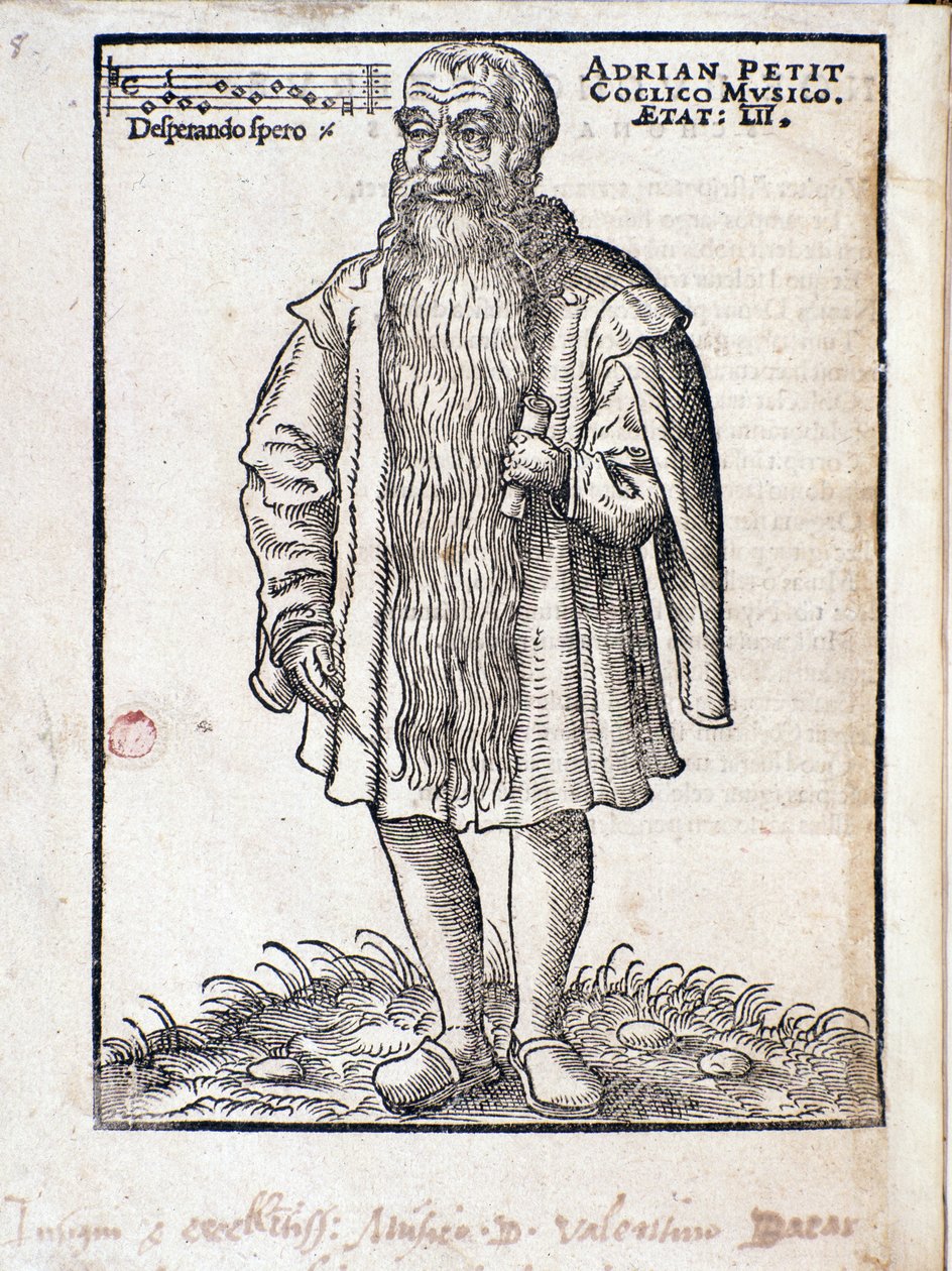 Portræt af Adrianus Petit Coclico (1500-1562) nederlandsk komponist fra renæssancen. af Italian School