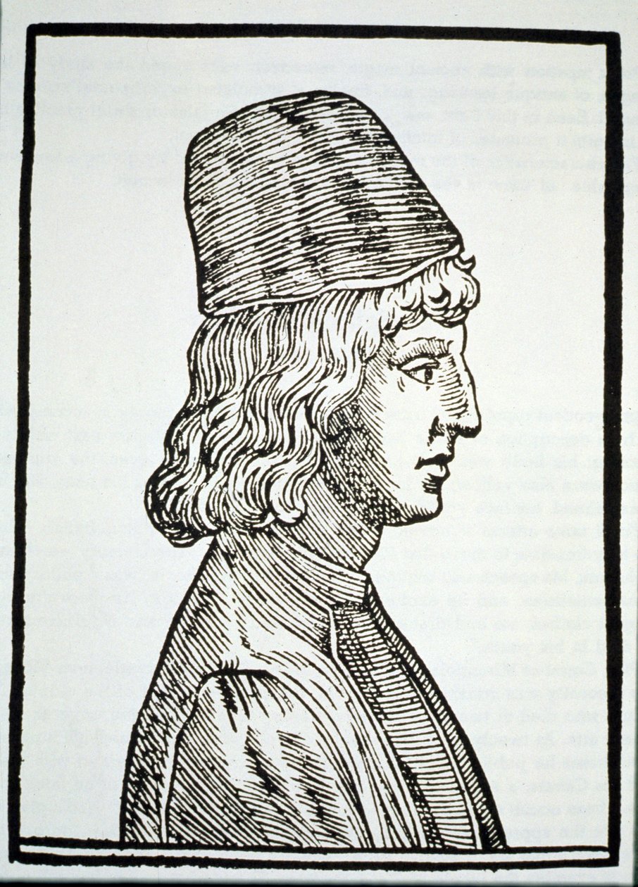 Portræt af Pico della Mirandola (1463-94), fra Delle Celeste Fisionomia af Giovanni Battista della Porta, Padua 1616, illustreret i History of Magic, udgivet sent i det 19. århundrede af Italian School