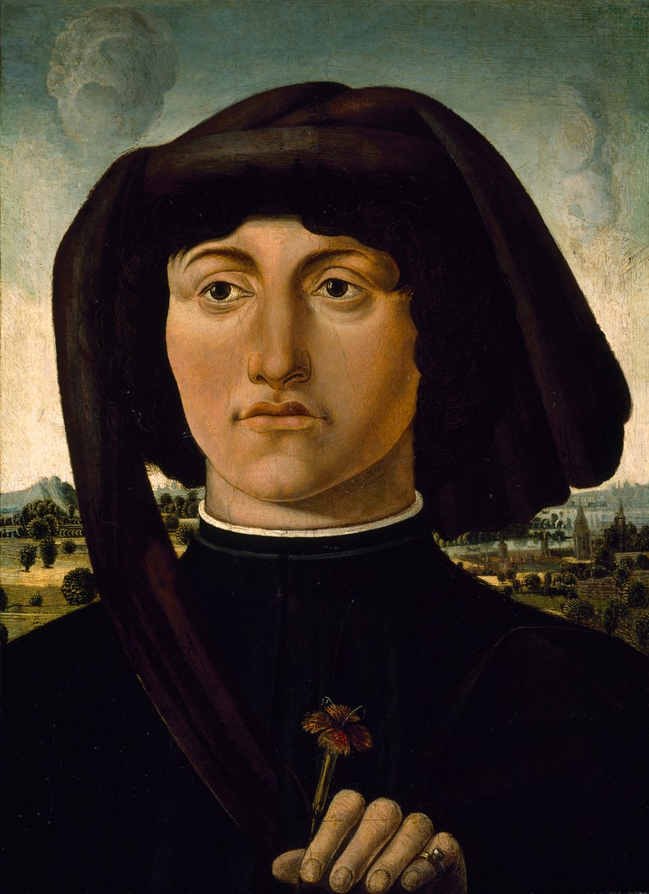 Portræt af en ung mand med en lyserød blomst, ca. 1475-85 (tempera på træ) af Italian School