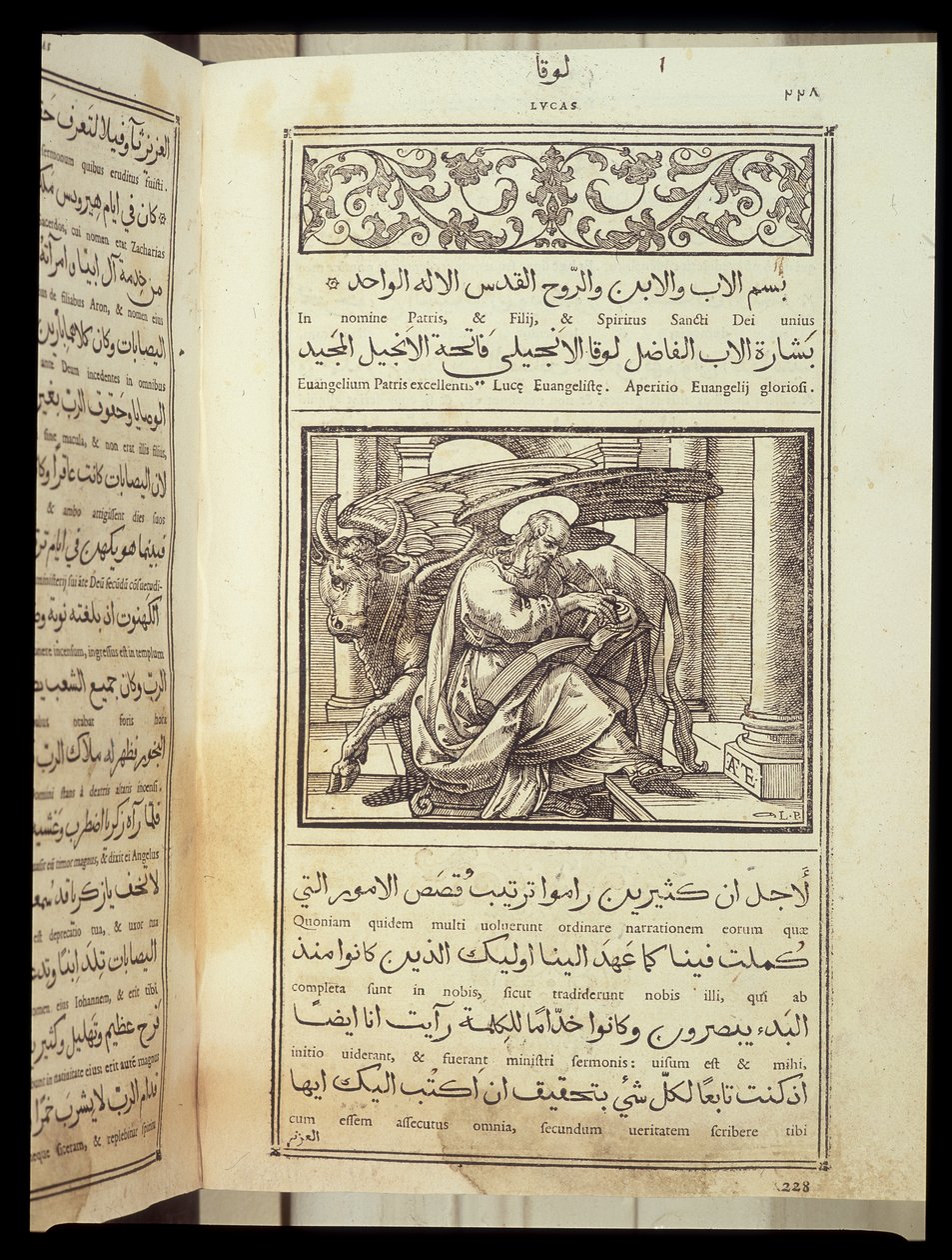 Evangelisten Saint Luke, Bibel skrevet på arabisk, Rom af Italian School