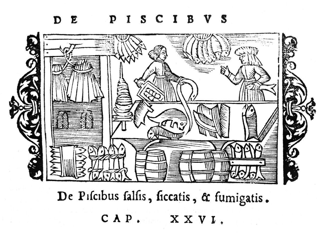 Saltning, tørring og røgning af fisk, illustration fra Historia de Gentibus Septentrionalibus af Olaus Magnus (1490-1558), udgivet i Rom, 1555 af Italian School