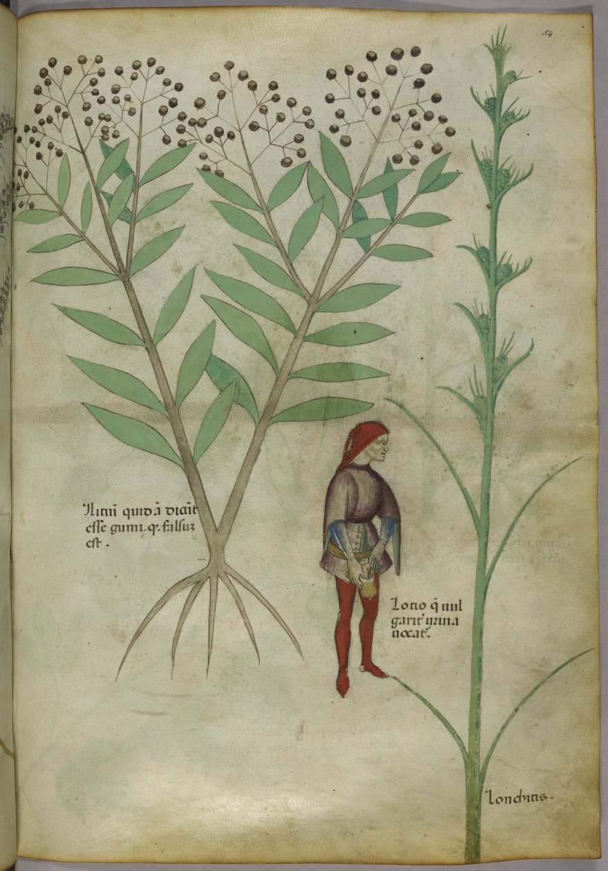Sloane 4016 f.54 Mand tisser i en gryde, fra 