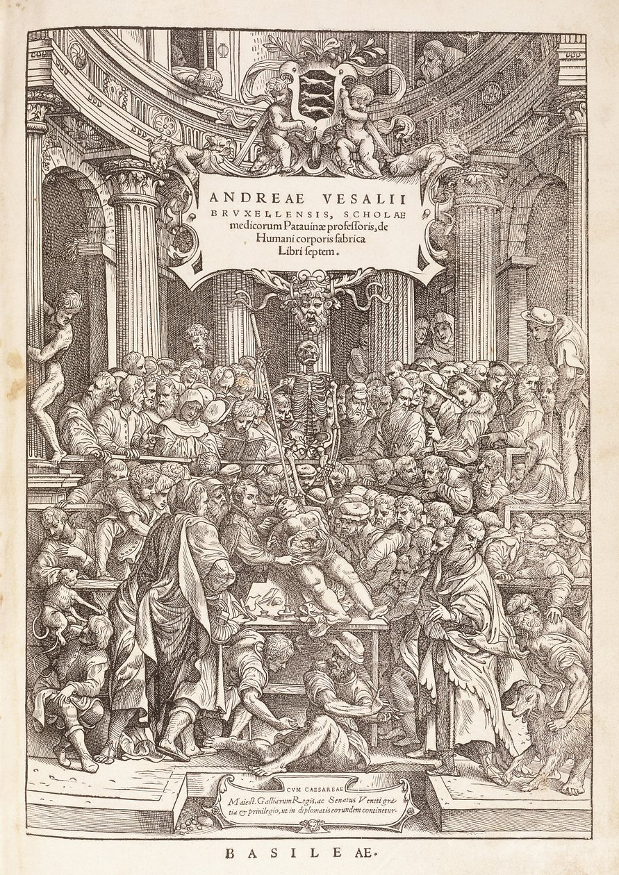 Forfatteren udfører en anatomisk dissektion i et kirurgisk teater, 1543 af Italian School