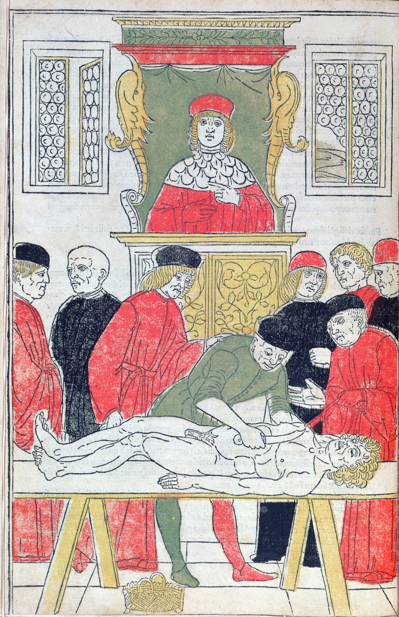 Dissektionen, illustration fra 
