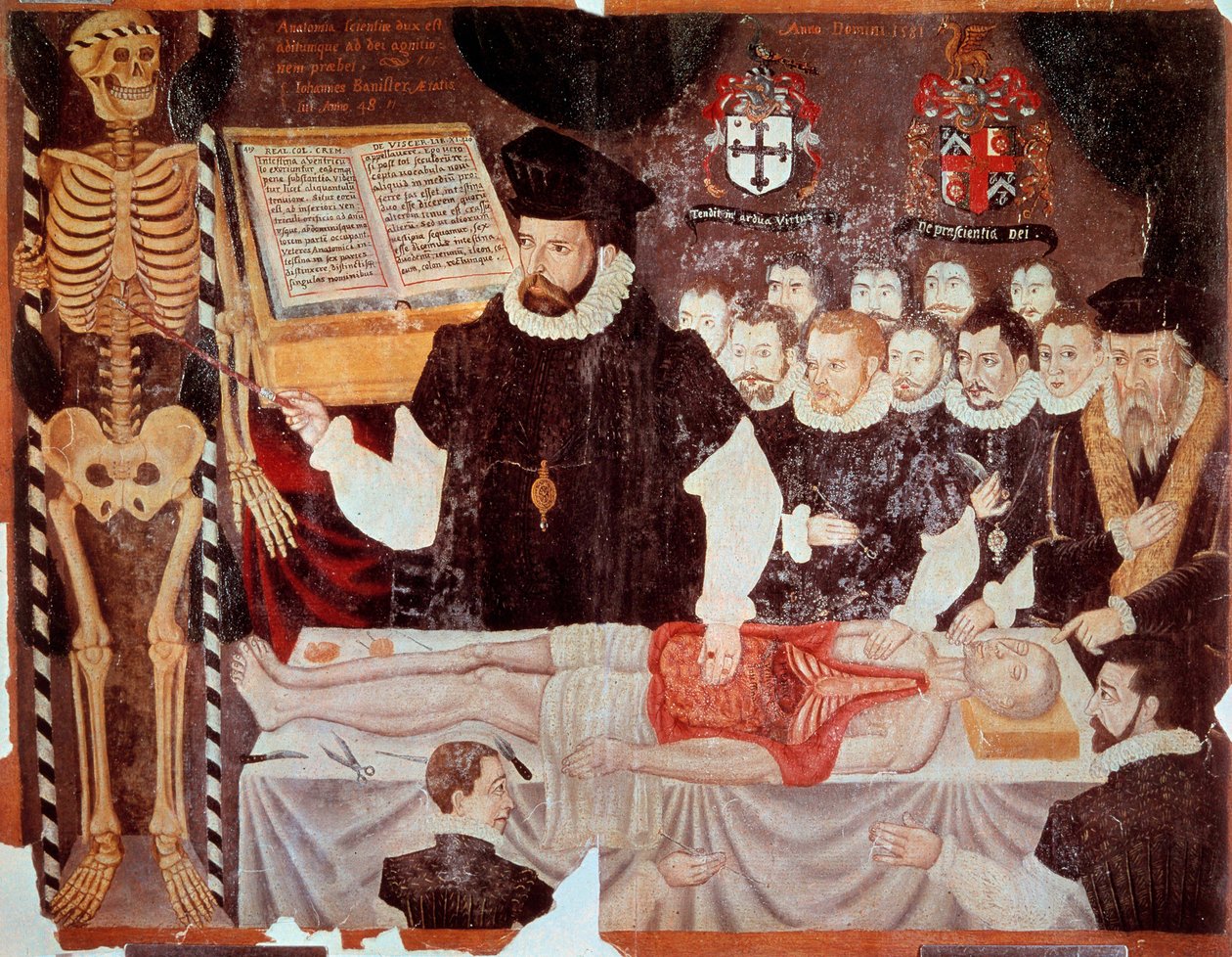 Foredraget om anatomi holdt af John Banister (1533-1610) i Barber Surgeons Hall i 1548 Frontispice-maleri af "" De re anatonomica" af Matteo Realdo Colombo (Renaldus Columbus) (1516-1559) 1580. Paris, B.N. - John Banister (1533-1610) giver en ana af Italian School
