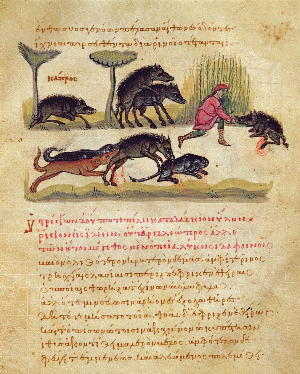 Afhandling om ornen: liv, parring, jagt, illustration fra Cynegetica af Oppian (tempera på vellum) af Italian School