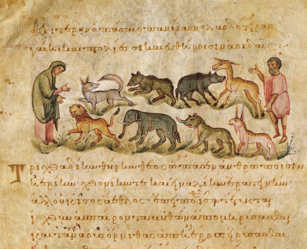 Afhandling om de mange dyrearter, der bebor jorden, illustration fra Cynegetica af Oppian (tempera på vellum) af Italian School