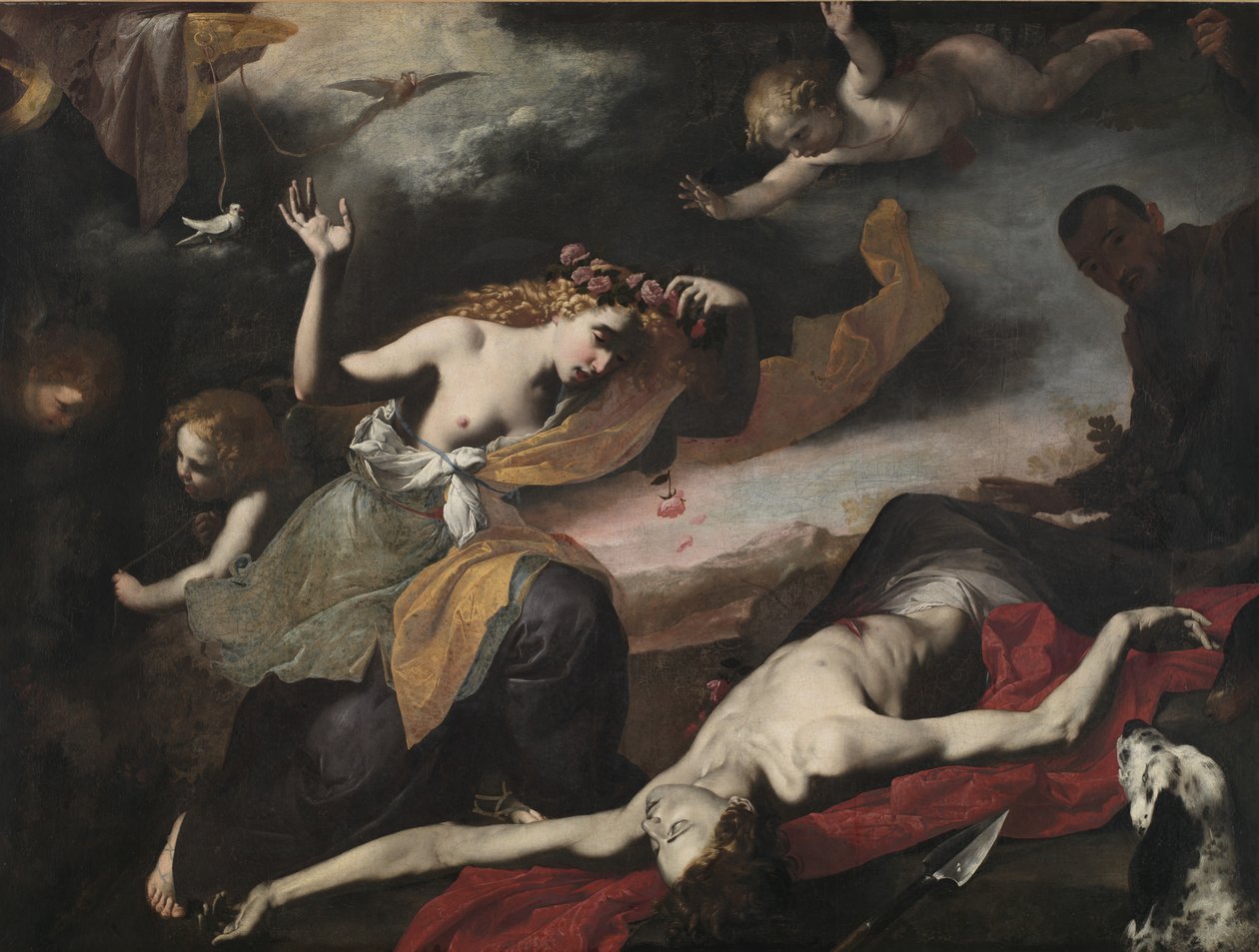 Venus opdager den døde Adonis, ca. 1650 af Italian School