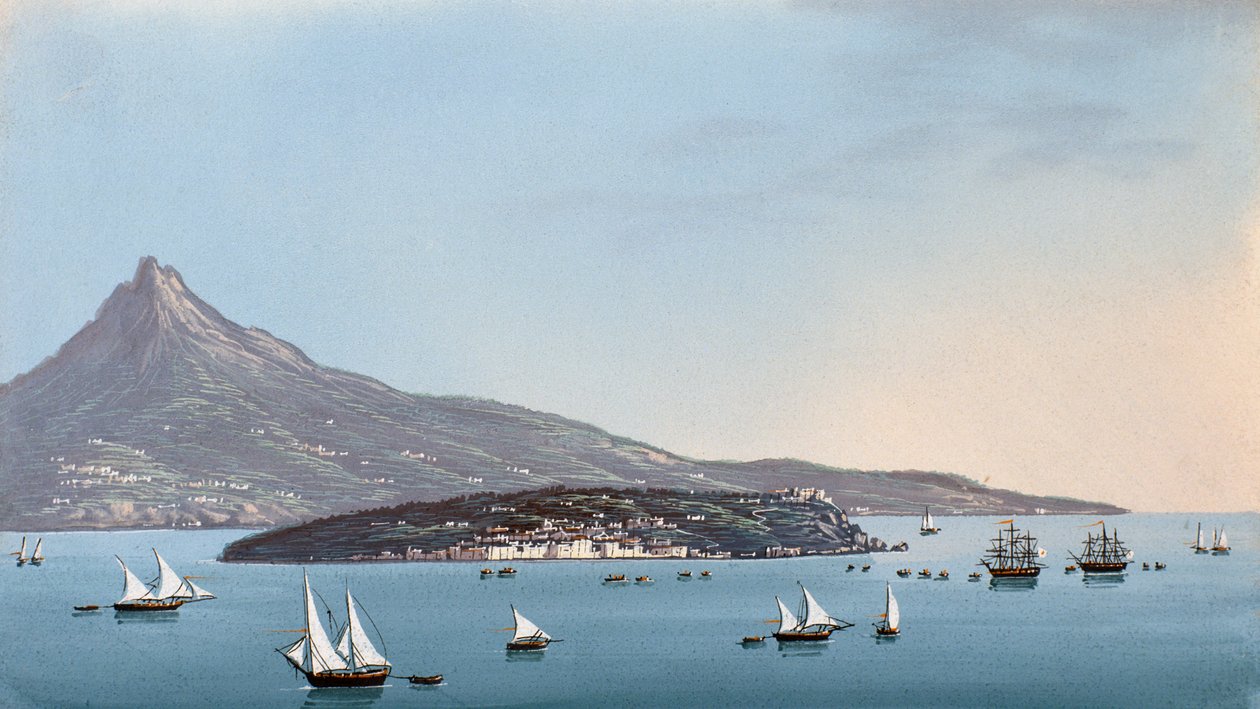 Udsigt over Napoli (gouache) af Italian School