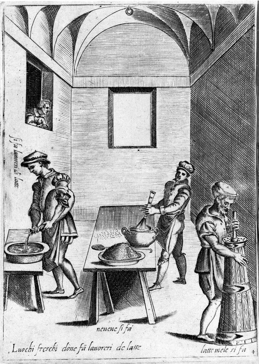 Arbejdsmælk (mejeriprodukt) på et køligt sted. Gravering fra "Opera", bog om gastronomi opdelt i 6 dele, af Bartolomeo Scappi, personlig kok af pave Pius V. Venedig af Italian School