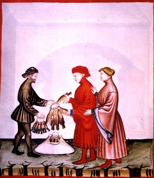 dol.106v Små fugle og drosler, illustration fra 
