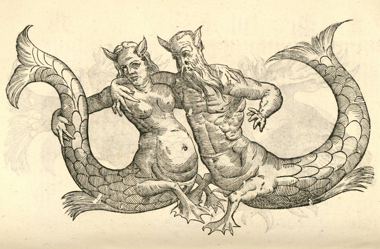 illustration af Monstra Niliaca Parei fra Aldrovandis History of Monsters, 1642 af Italian School