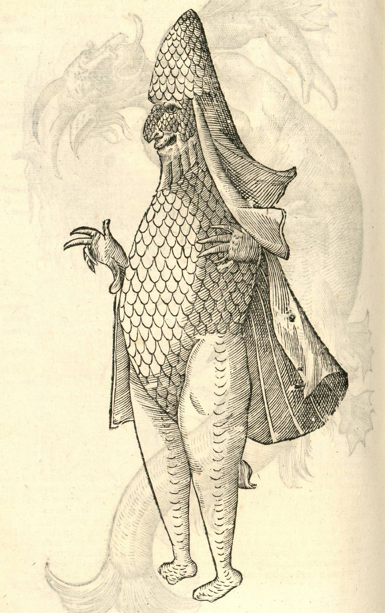 illustration af Monstro Marinus fra Aldrovandis History of Monsters, 1642 af Italian School