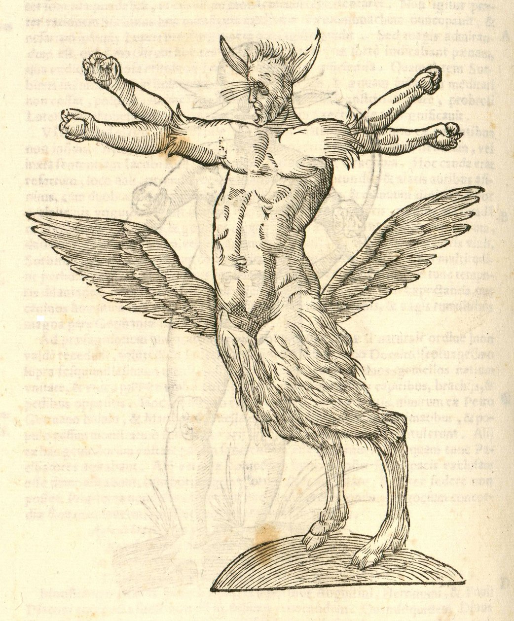 illustration af Monster fra Aldrovandis History of Monsters, 1642 af Italian School