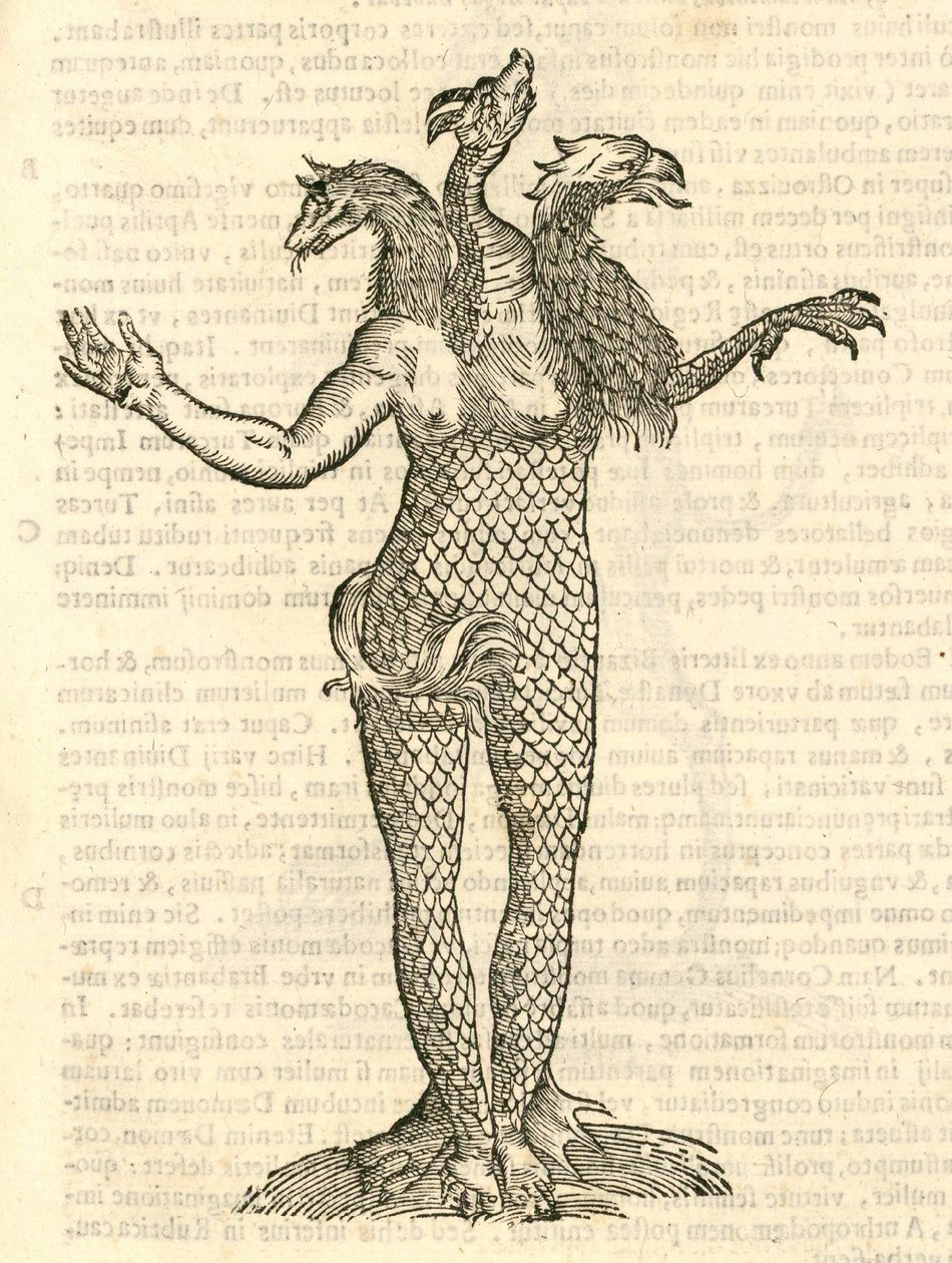 illustration af et trehovedet monster med hovedet af en ræv, drage og ørn fra Aldrovandis History of Monsters, 1642 af Italian School