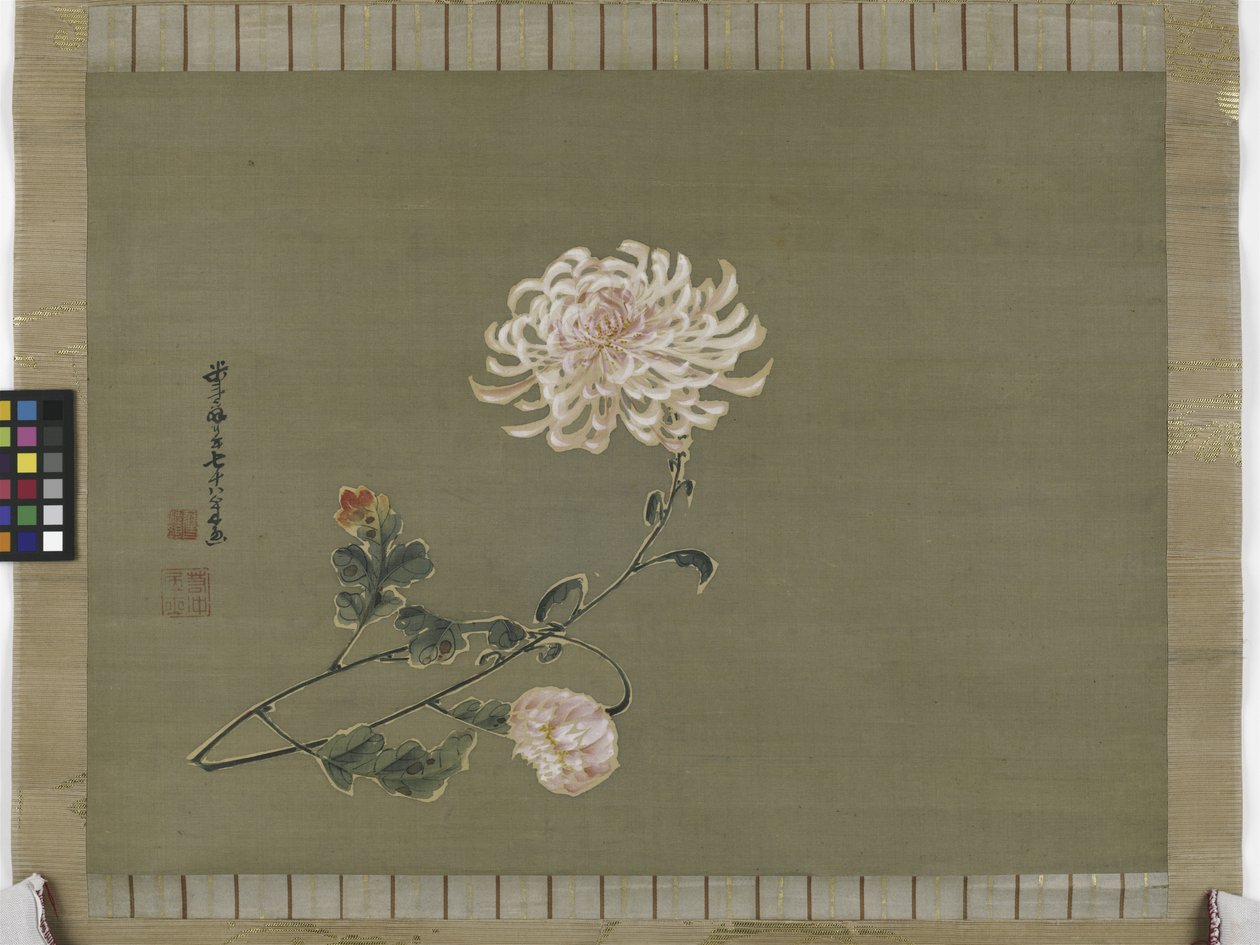 Krysantemum, Edo-periode, 1791 (blæk og farve på silke) af Ito Jakuchu