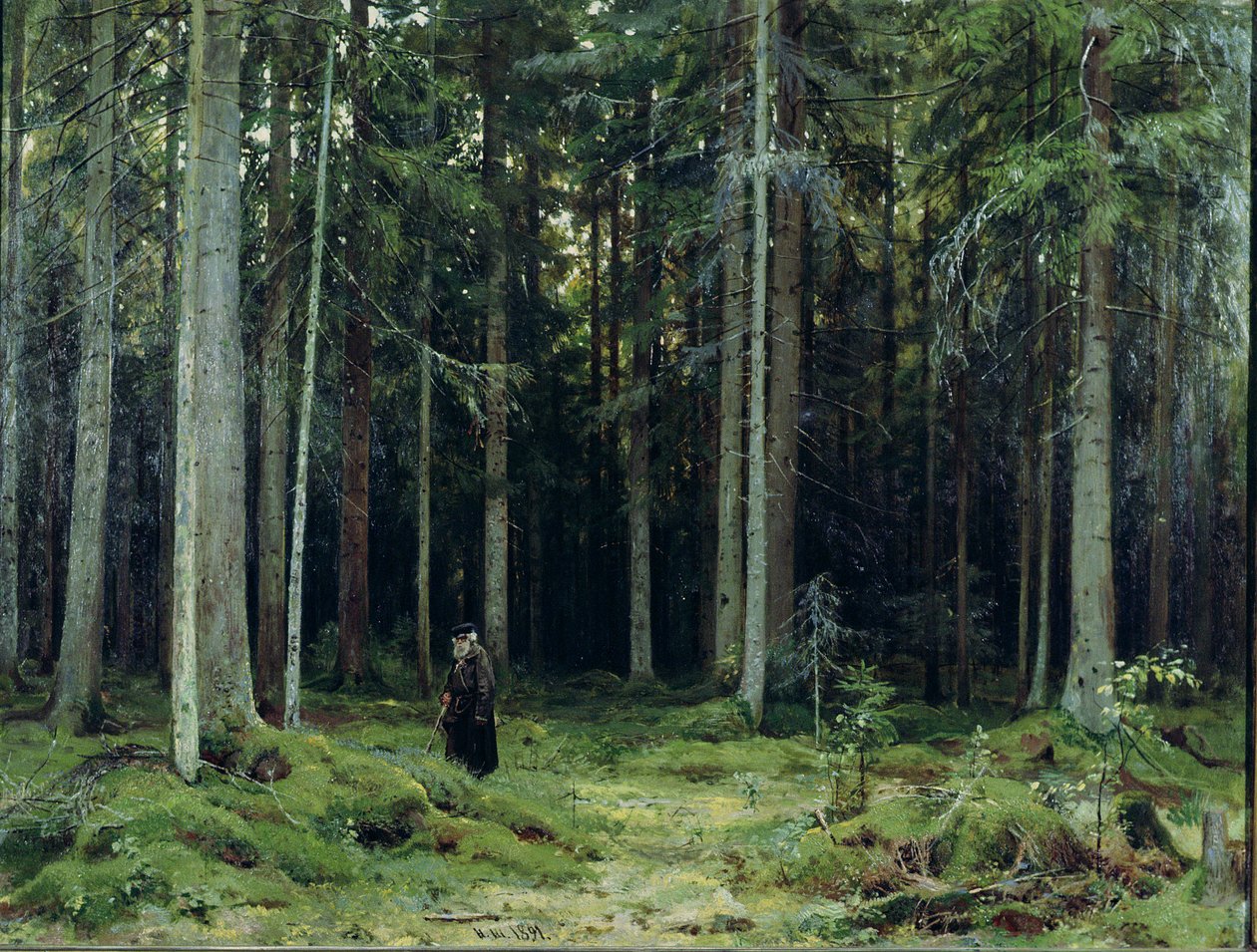 Grevinde Mordvinovs skov, 1891 af Ivan Ivanovich Shishkin
