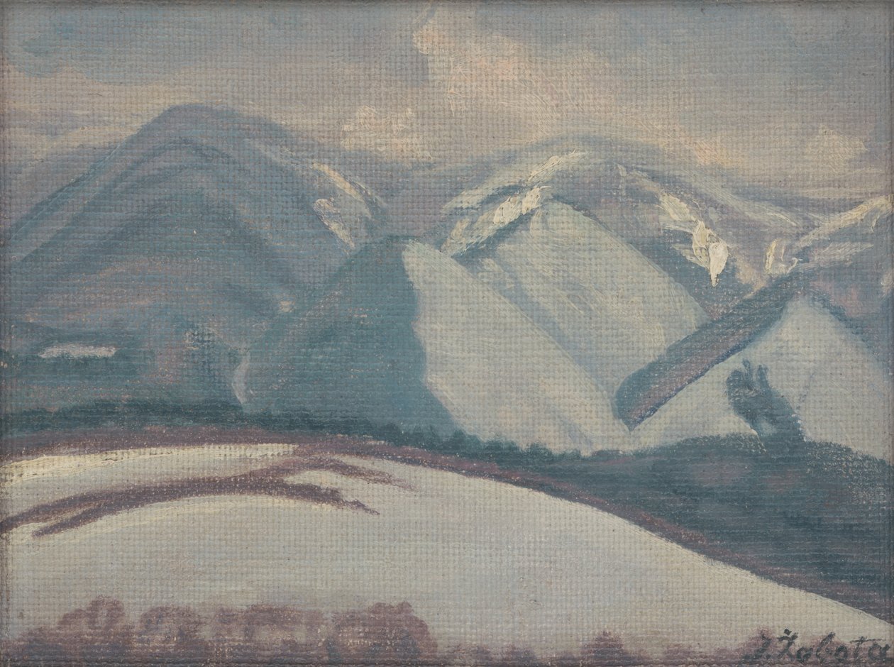 Snefald Gorenslovecina: Snefald chorin af Ivan Zabota