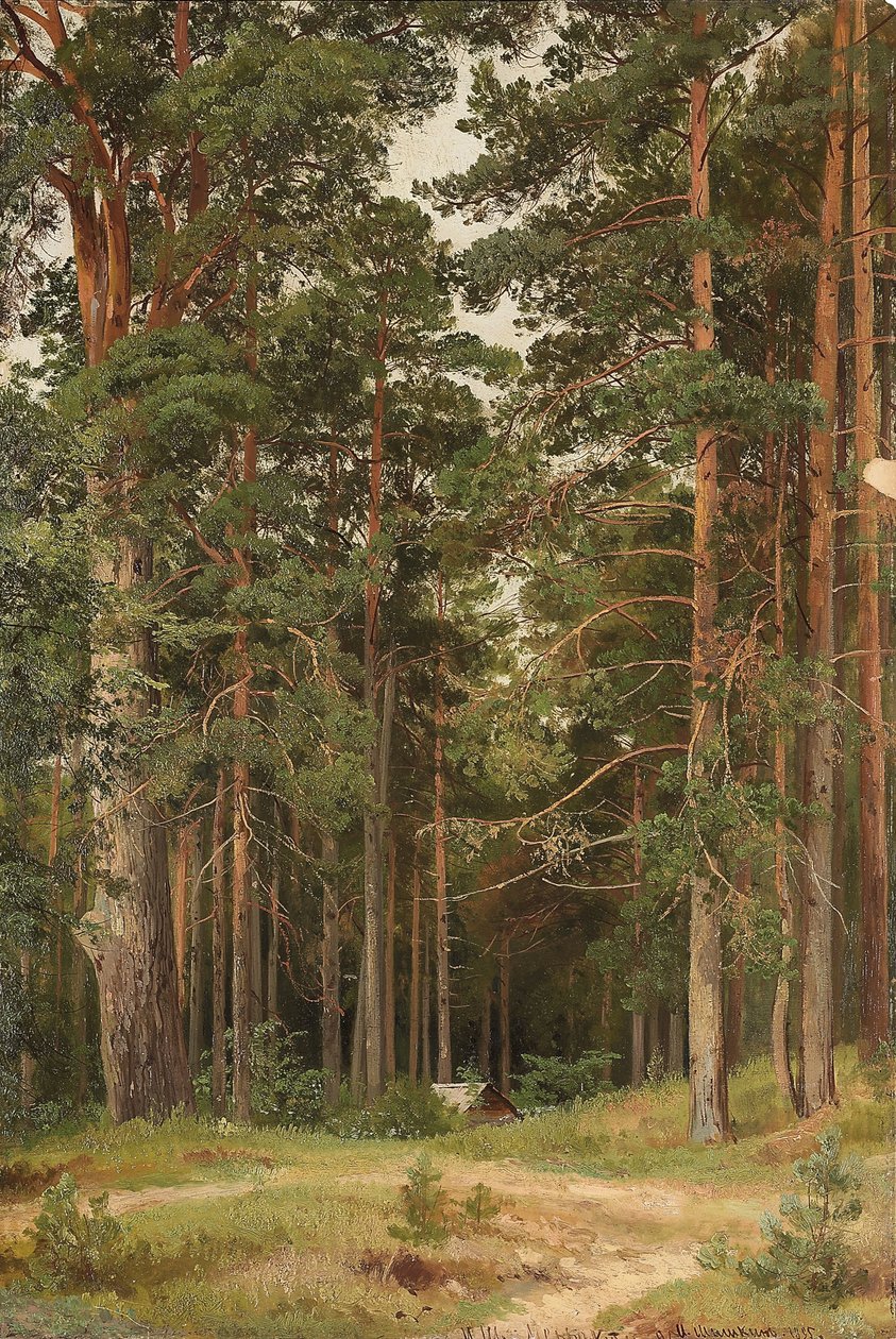 En sommerdag, Merikiul, 1895 af Ivan Ivanovich Shishkin