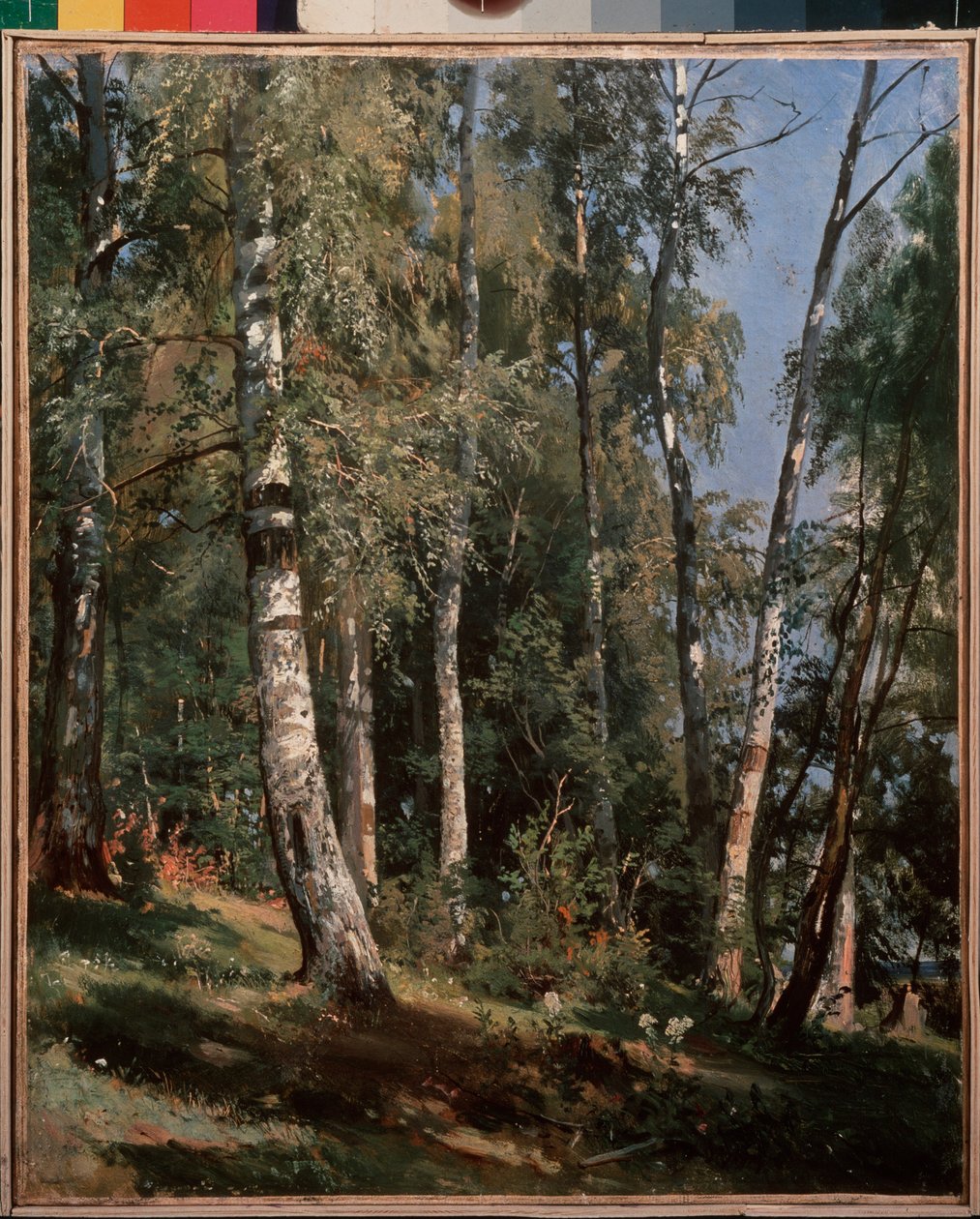 Birch grove (Birch grove) - Maleri af Ivan Ivanovich Shishkin (Shishkin) (1832-1898), olie på lærred af Ivan Ivanovich Shishkin