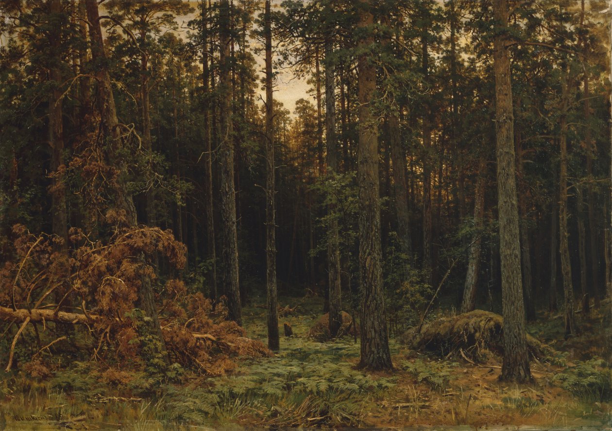 Pinewood, 1885 af Ivan Ivanovich Shishkin