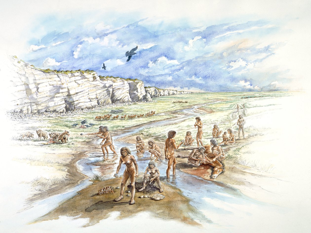 Boxgrove Quarry, forhistorisk, c1990-2010 af Ivan Lapper