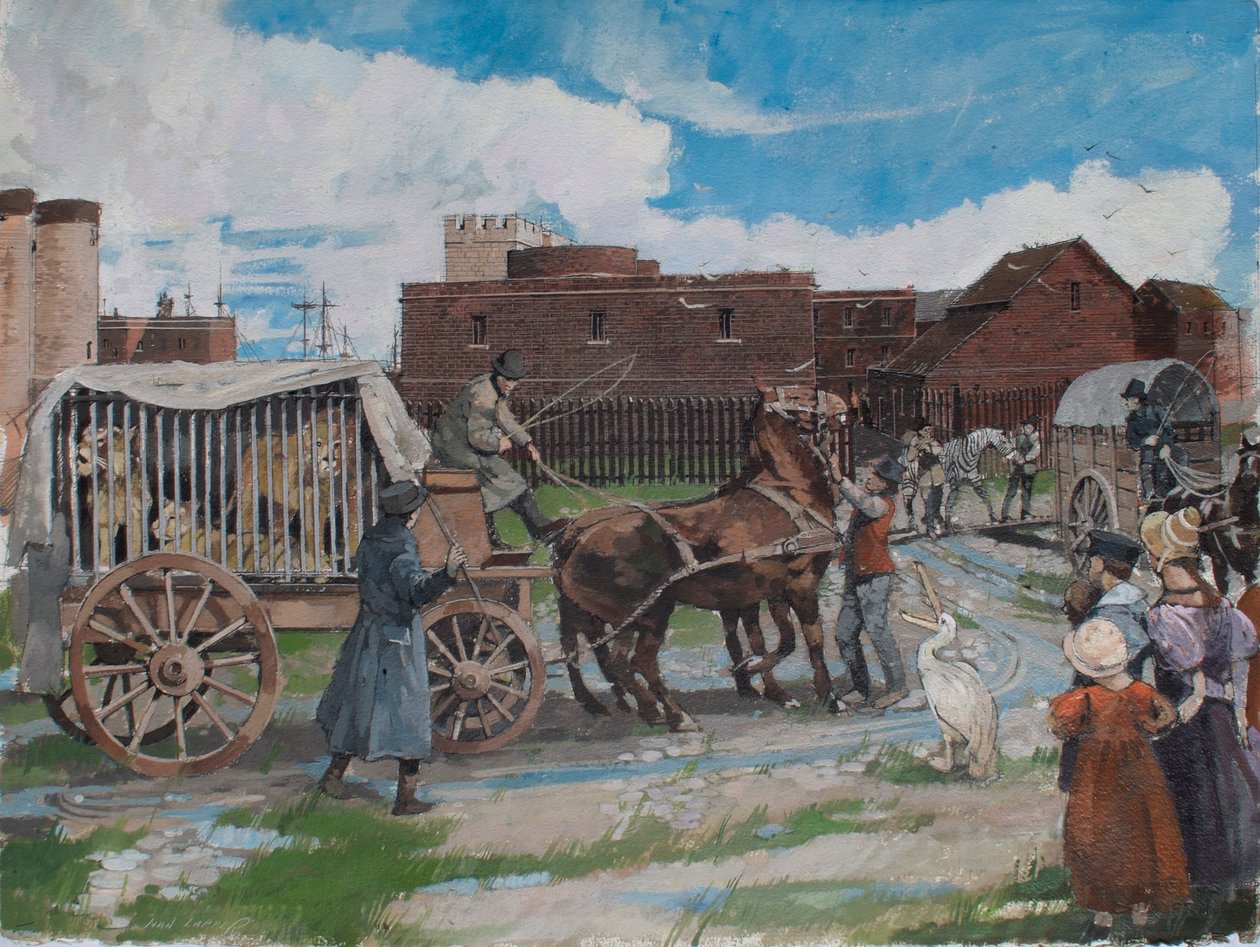 Rekonstrueret billede af dyr fra det kongelige menageri, der forlader Tower of London omkring 1841 af Ivan Lapper