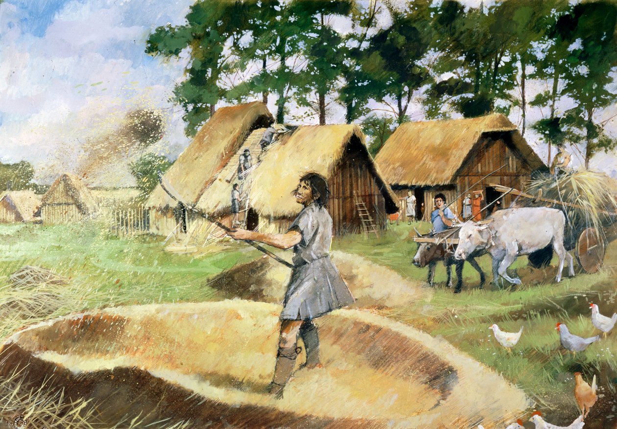 Romersk landbrug, c3. århundrede, 1990-2010. af Ivan Lapper