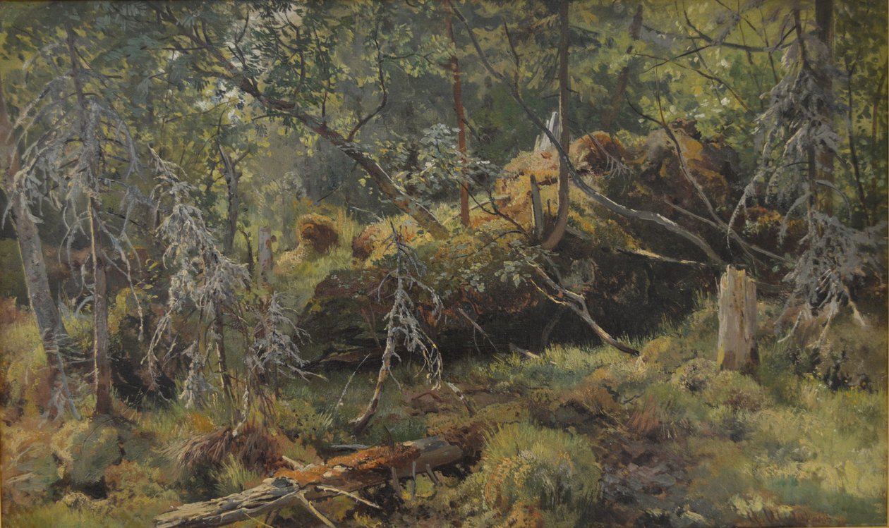 Forgreninger. En undersøgelse af Ivan Ivanovich Shishkin