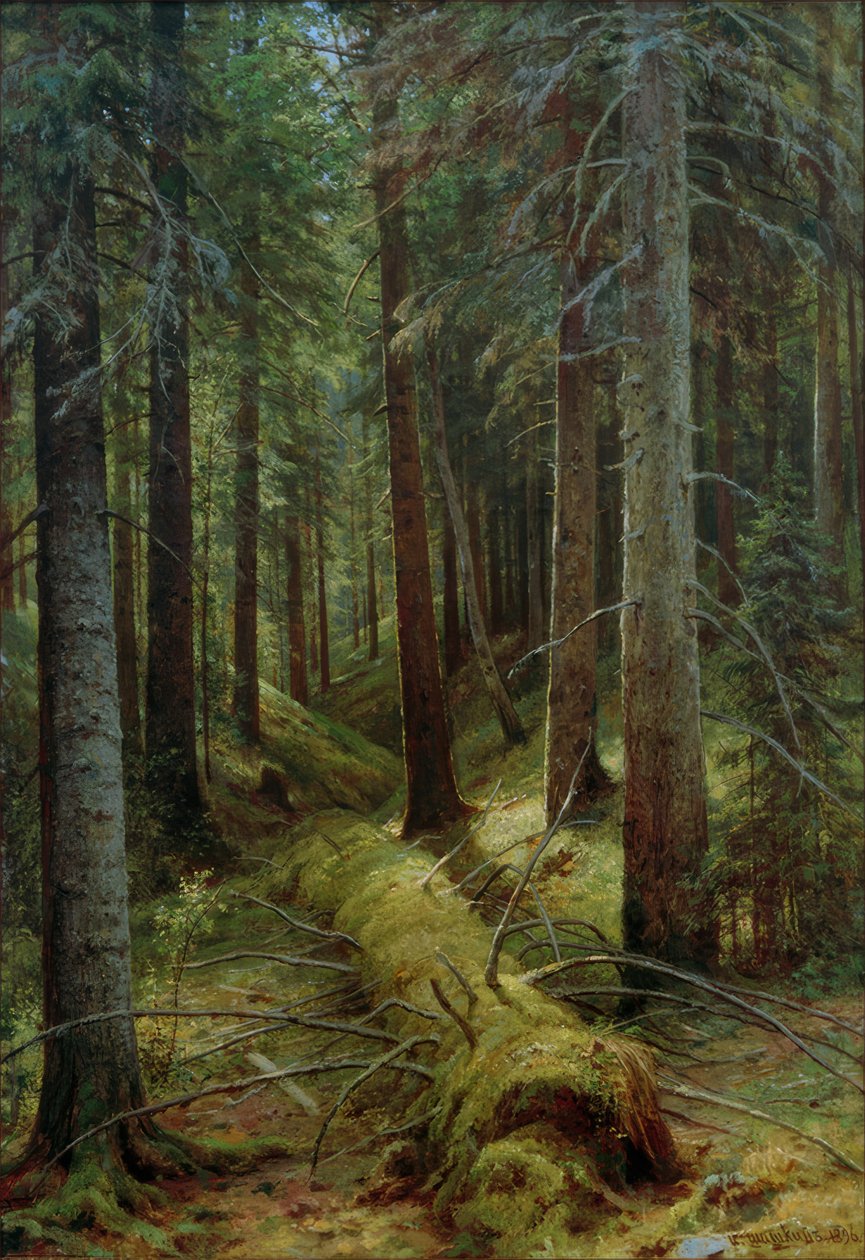 I den russiske skov af Ivan Ivanovich Shishkin