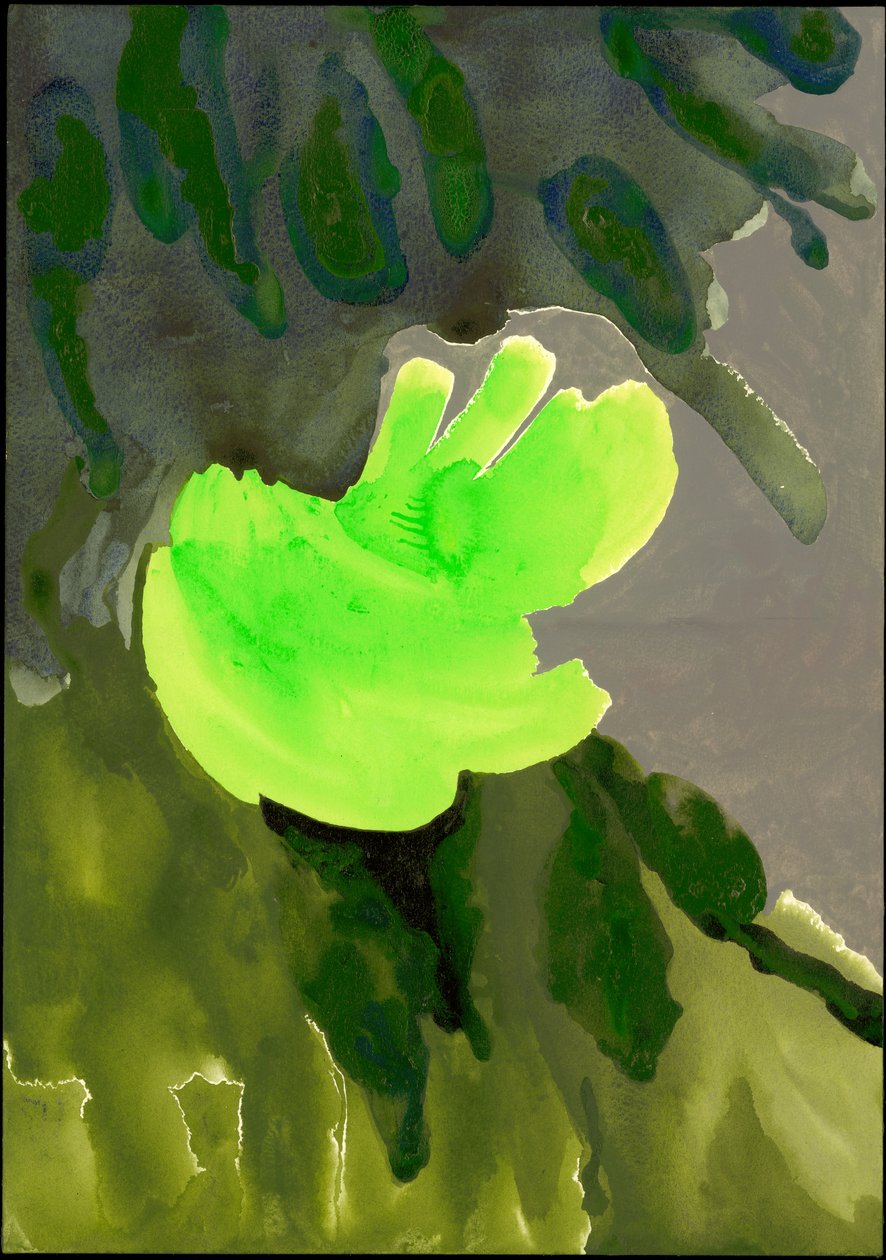 Kensington Gardens Series: Leaf Cascade, 2007 (blandet medier på papir) af Izabella Godlewska de Aranda