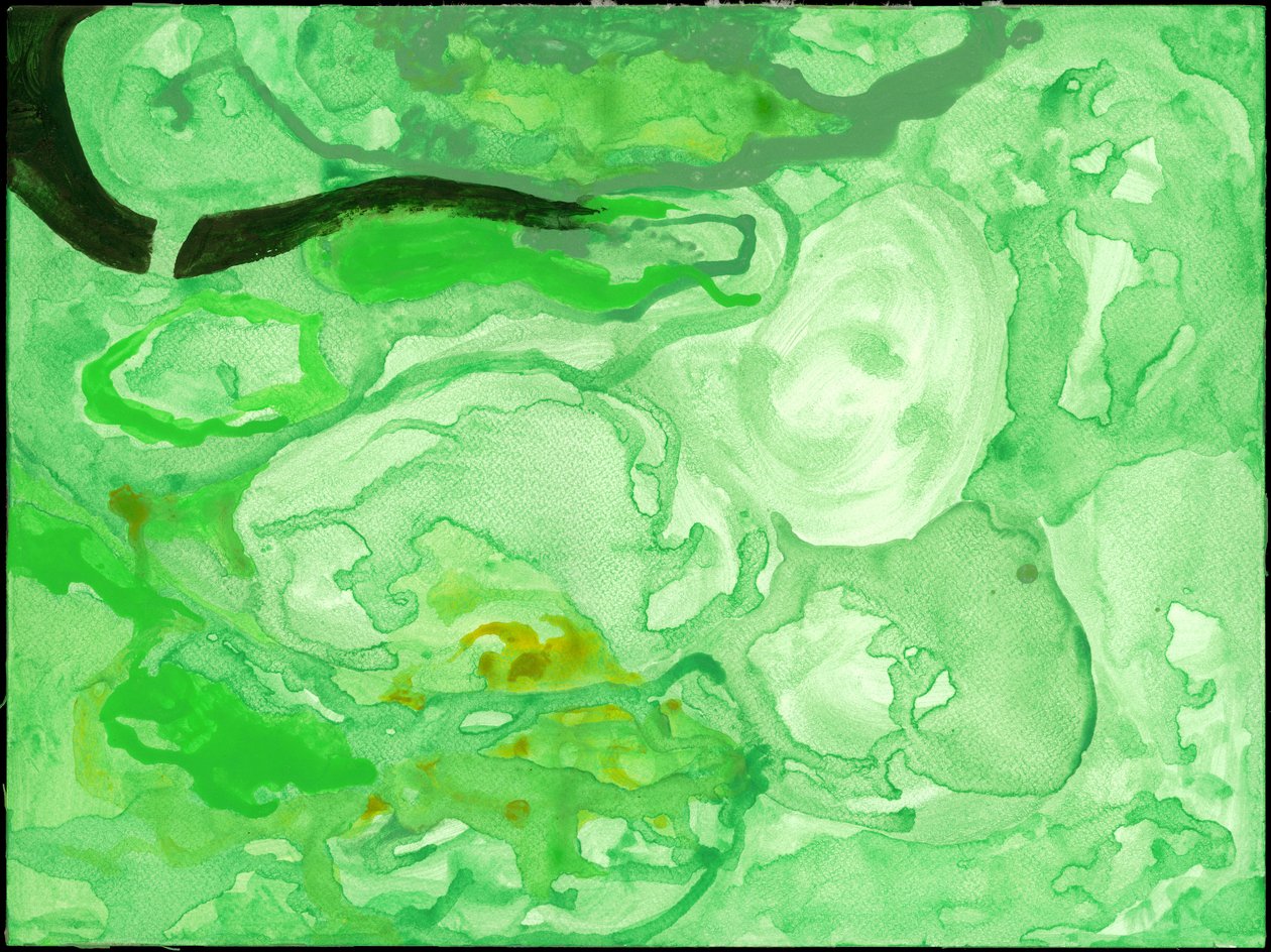 Kensington Gardens Series: The Pool of Chaos (wc på papir) af Izabella Godlewska de Aranda