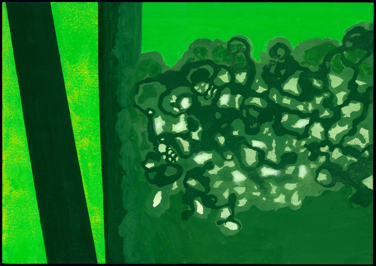 Kensington Gardens Serise: Canopy Shadows, 2007 (blandet medier på papir) af Izabella Godlewska de Aranda