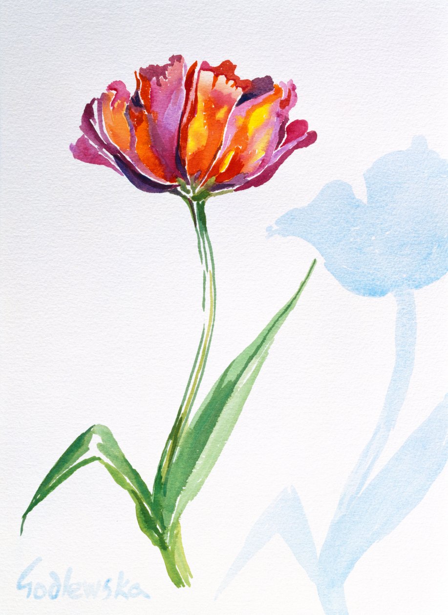 Tulip, 1998 (wc på papir) (se også 124446 & 124448) af Izabella Godlewska de Aranda