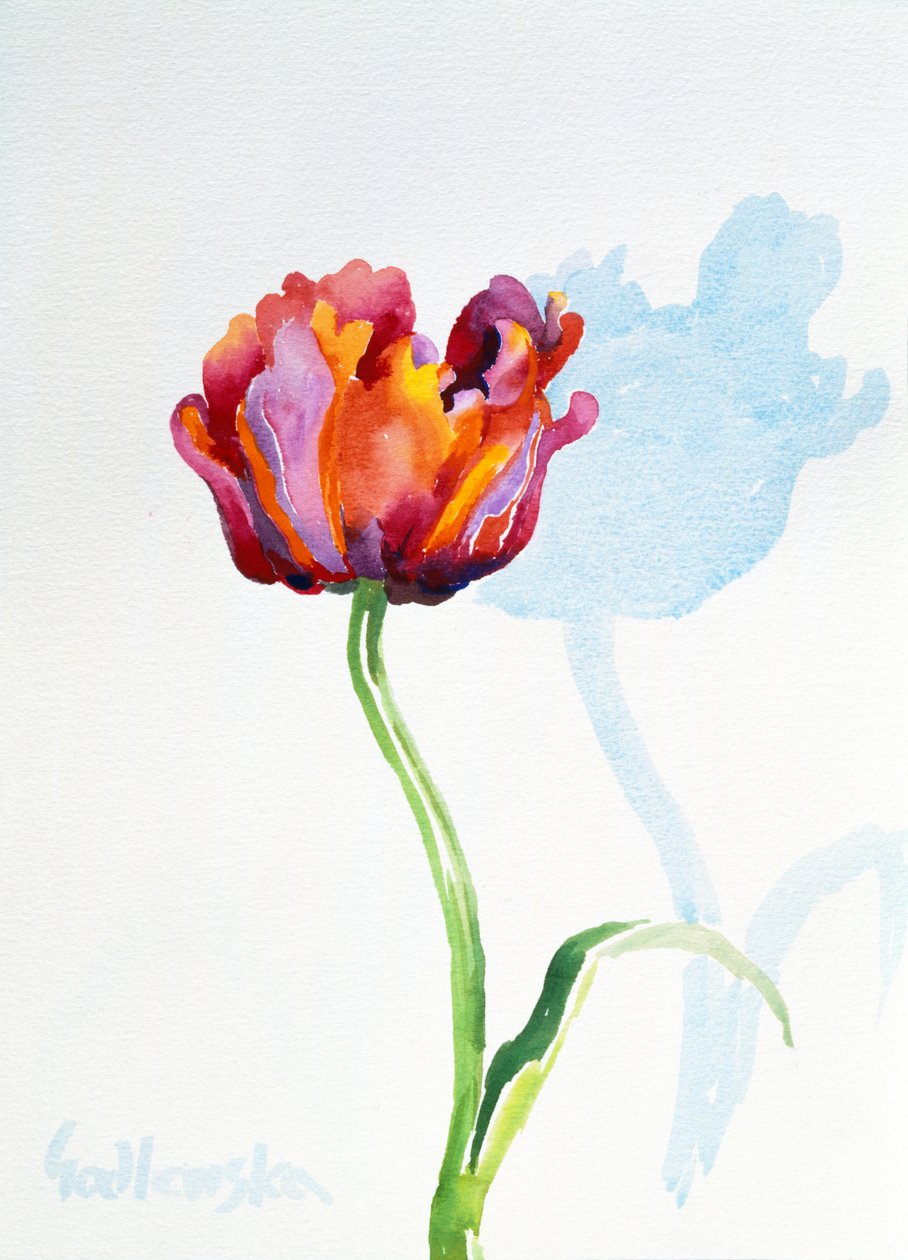 Tulip, 1998 (wc på papir) (se også 124446 & 124448) af Izabella Godlewska de Aranda