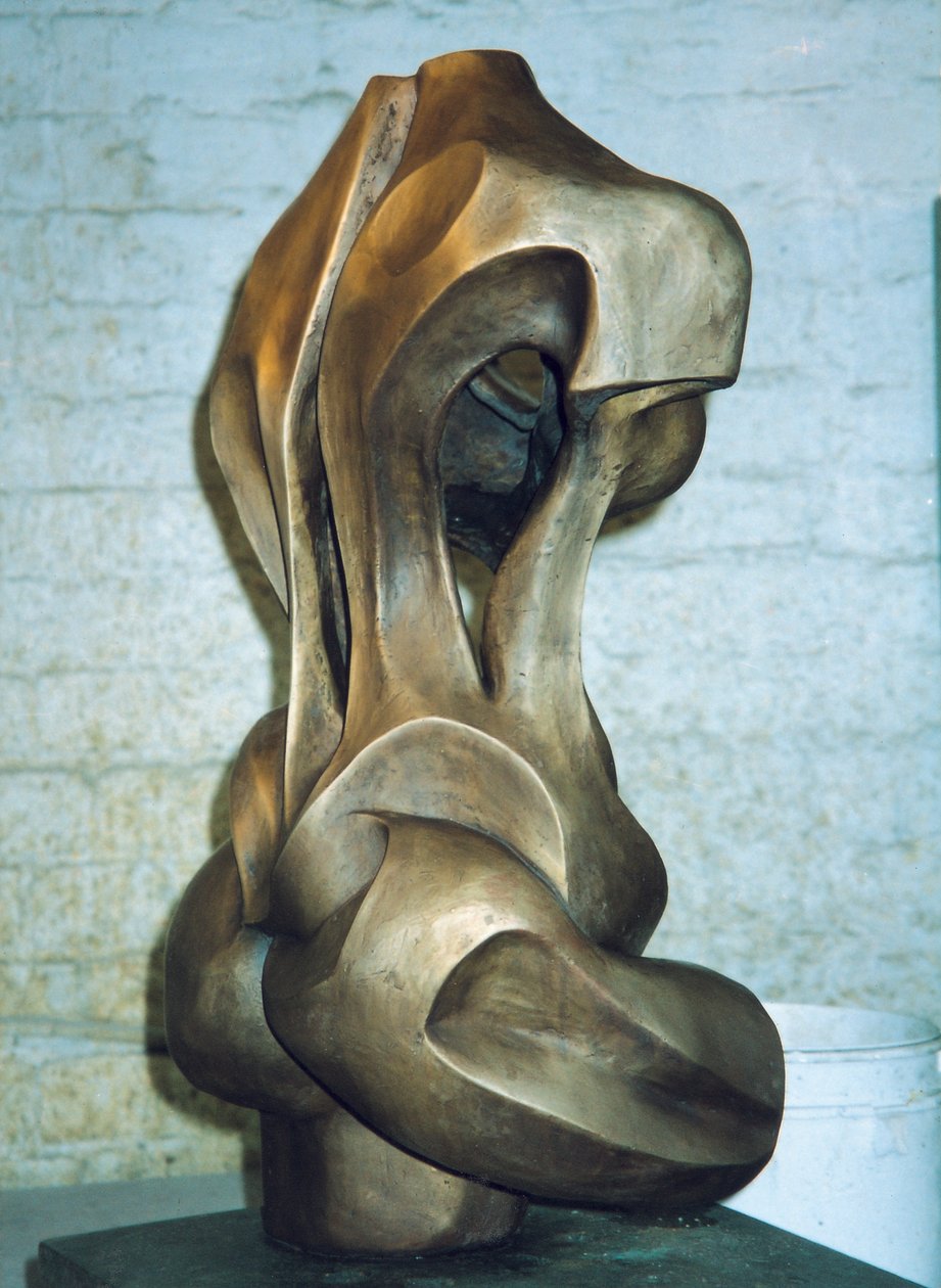 Kvinde, 2001 (bronze) af Izabella Godlewska de Aranda