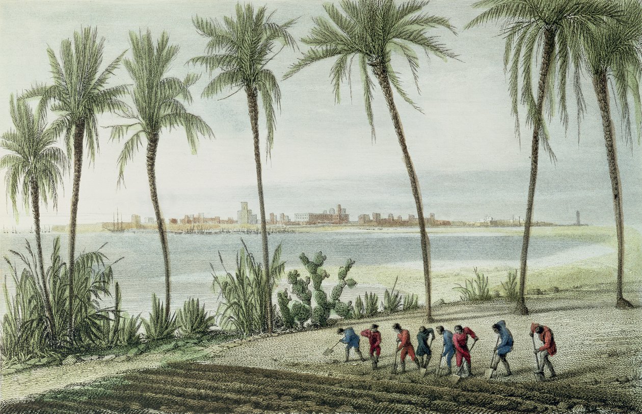 General View of Cadiz, indgraveret af John Pye (1782-1874) af J. Taylor