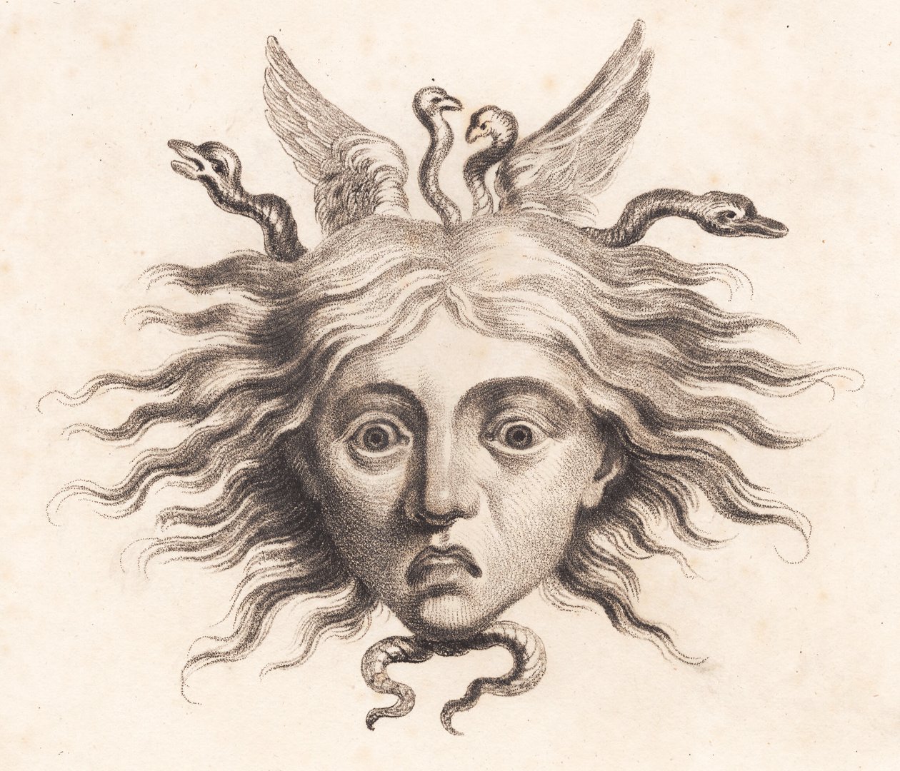 Medusahoved af J.F. Clemens