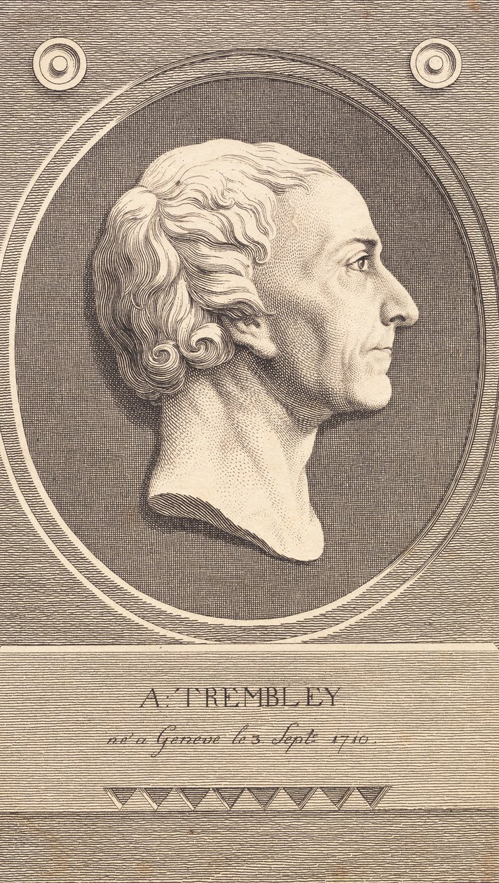 Relief Medaljon med portræt af zoologen Abraham Trembley af J.F. Clemens