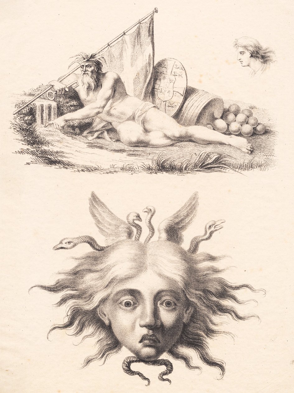 Øresund. Medusahoved af J.F. Clemens