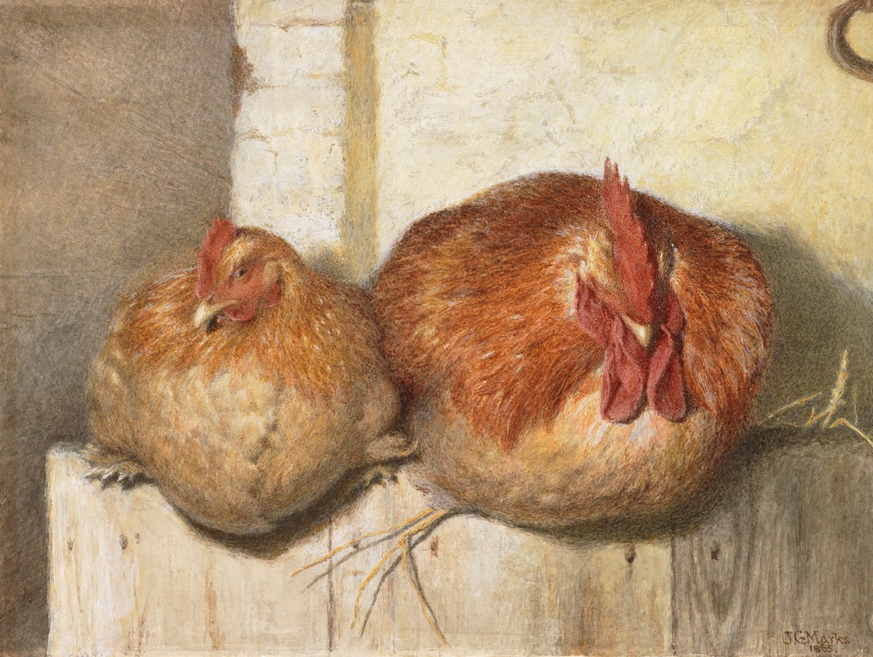 Fyrre blink, 1865 (wc på papir) af J.G. Marks