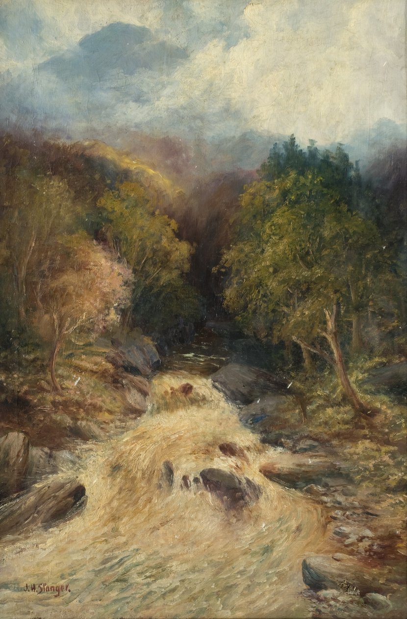 En Bjergskov af J.H. Stanger