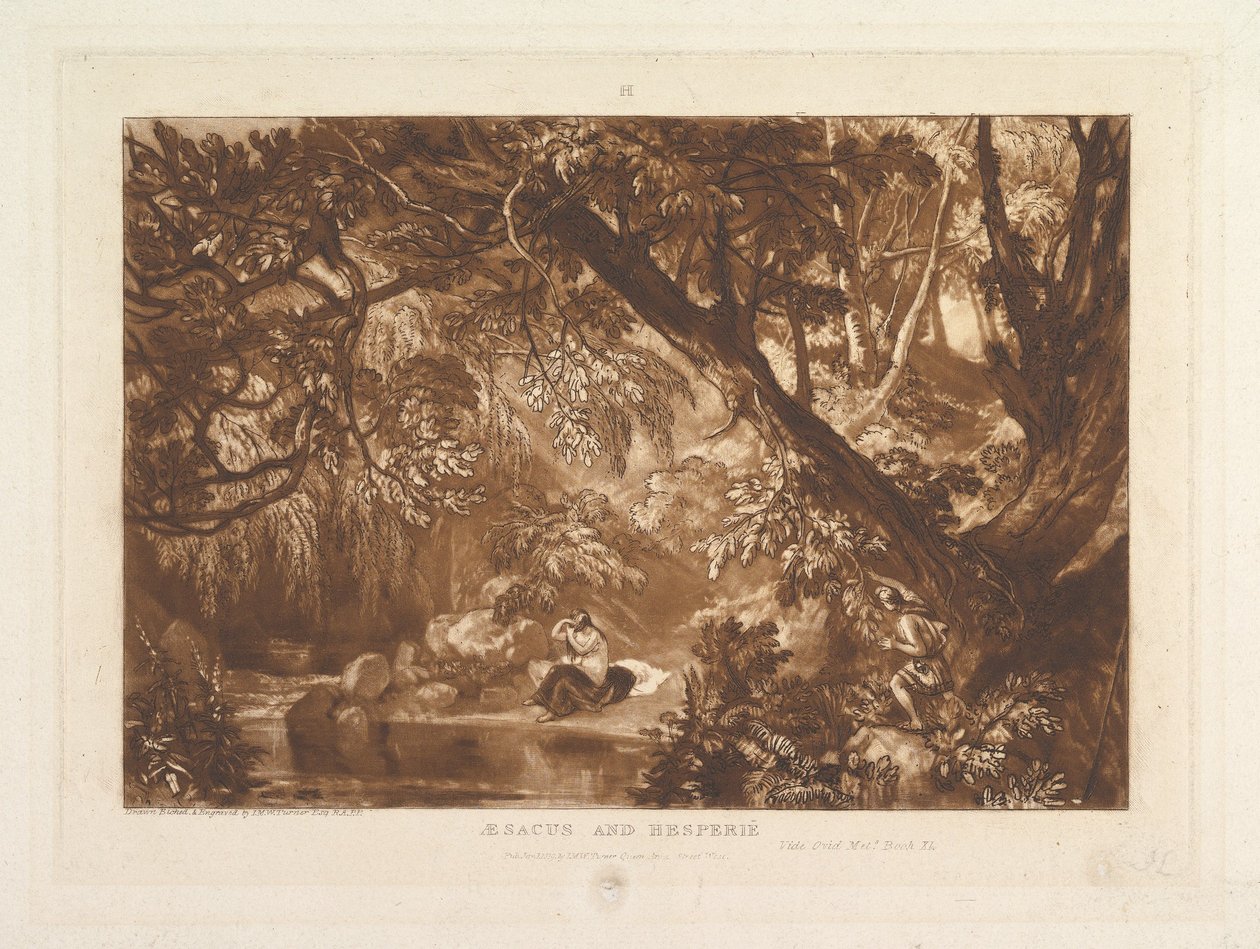 Aesacus and Hesperia, Video Ovid Metamorphoses, Bog XI Liber Studiorum, del X..., 1. januar 1819. af Joseph Mallord William Turner