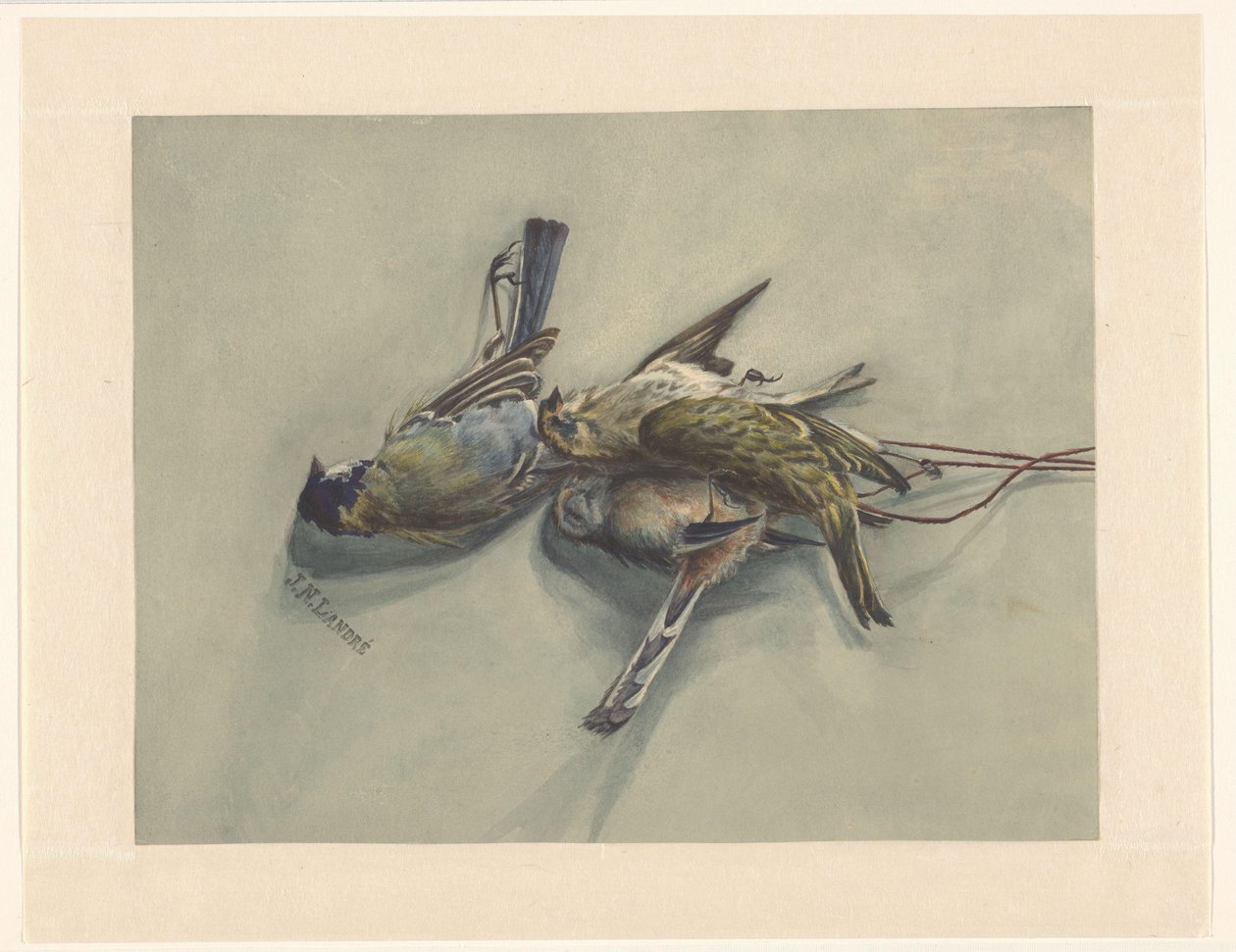 Stilleben med tre døde fugle af J.N. Landré (signed by artist)