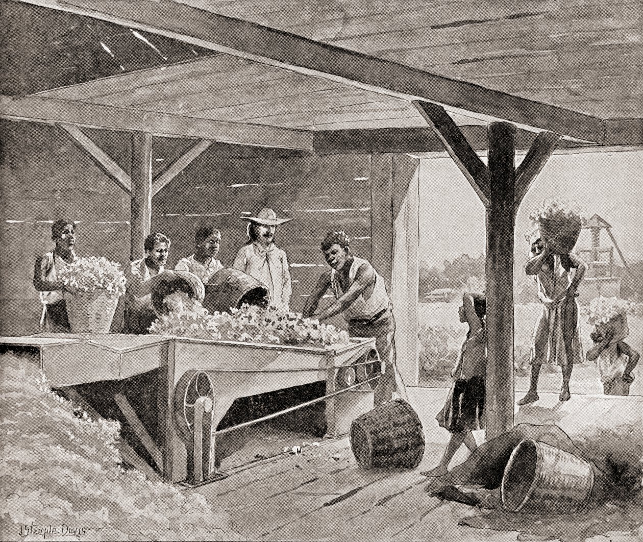 Slaver, der arbejder med en bomuldsgin fra det 19. århundrede på en plantage i en sydlig stat i USA, fra 