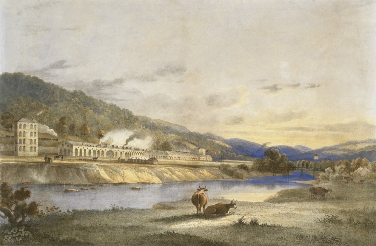 Trefforest Tin Works, Glamorganshire, ca. 1840 (håndkoloreret litografi på papir) af J. Appleby
