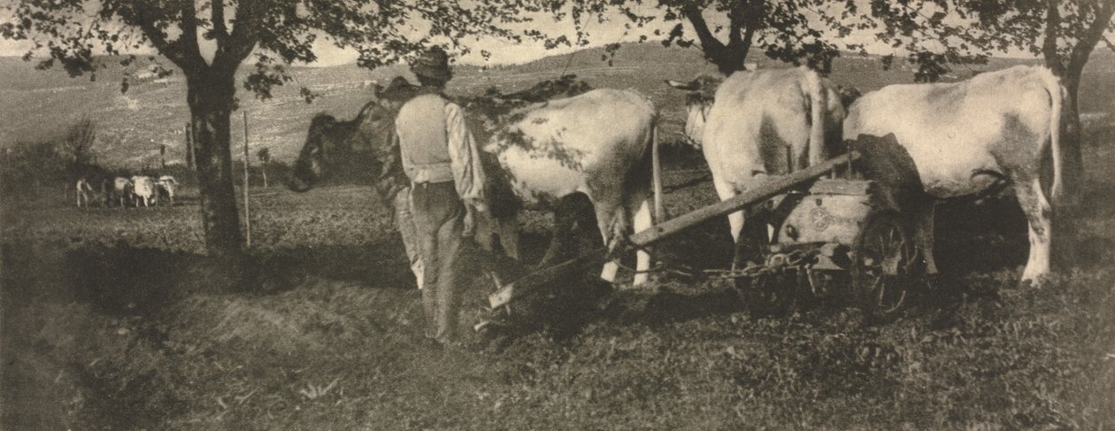 Kameraarbejde: Pløjehold af J. Craig Annan