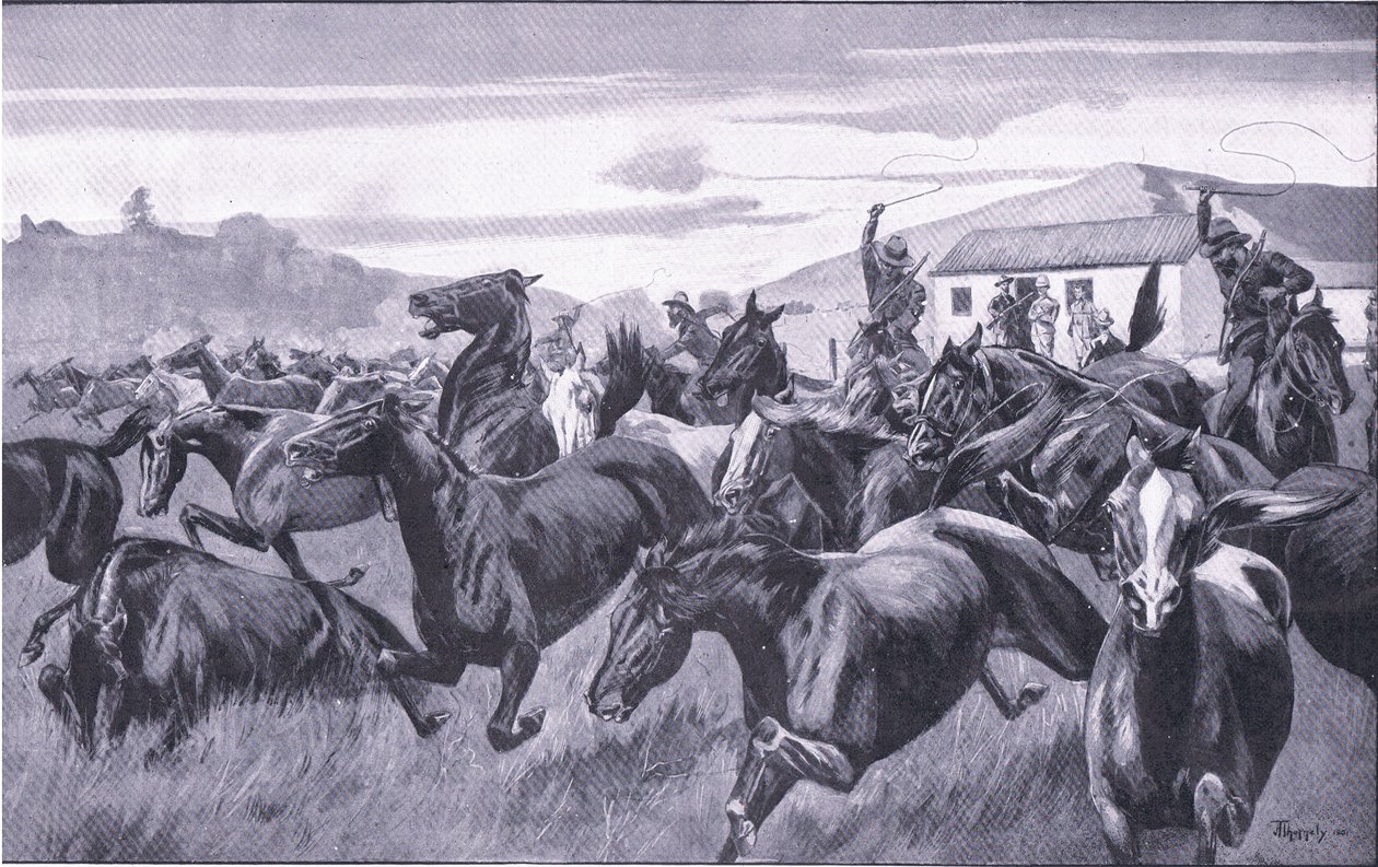 Boere, der angriber Remount-depotet ved Braamfontein, fra After Pretoria: The Guerilla War udgivet af Harmsworth Bros Limited, 1901 af J. H. Thornely