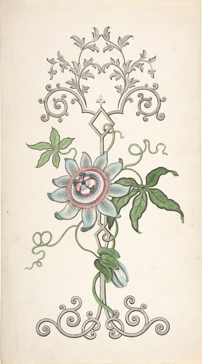 Design til paneldekoration centreret om en passionsblomst, 1828-40. af J Hulme